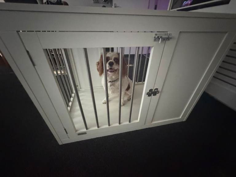 Dog cage for sale 
