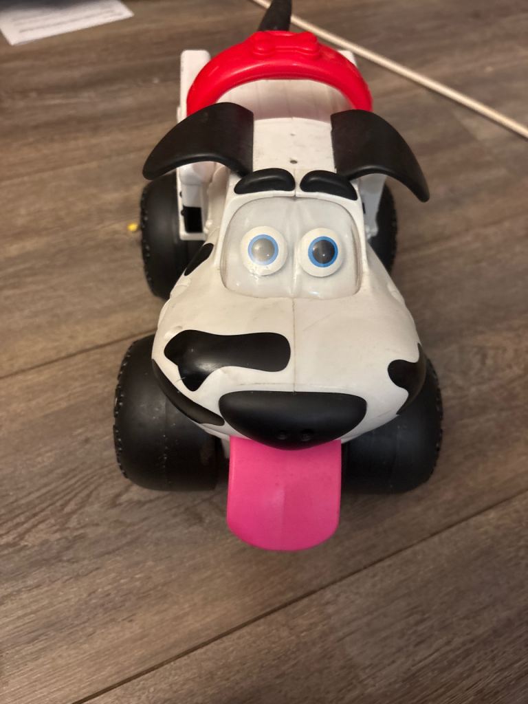 Street dog bumper dog