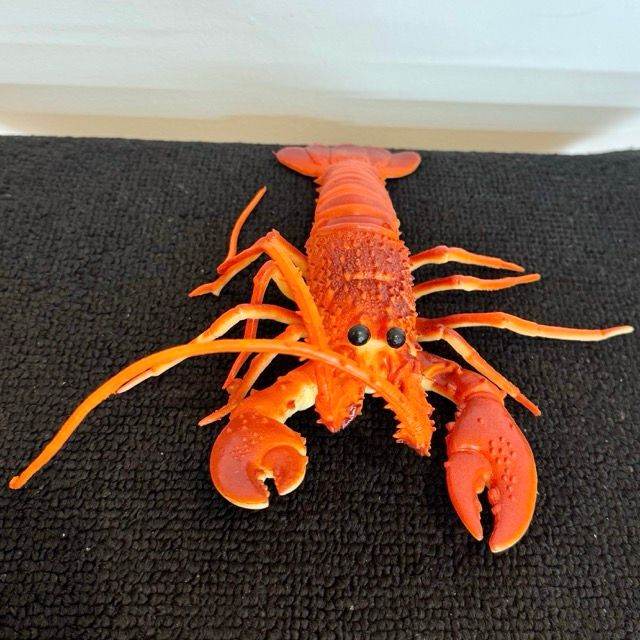 Lobster Squeaky Toy £10.