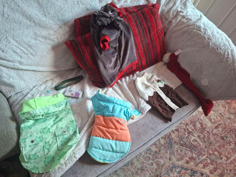 Dog Clothing and Collar