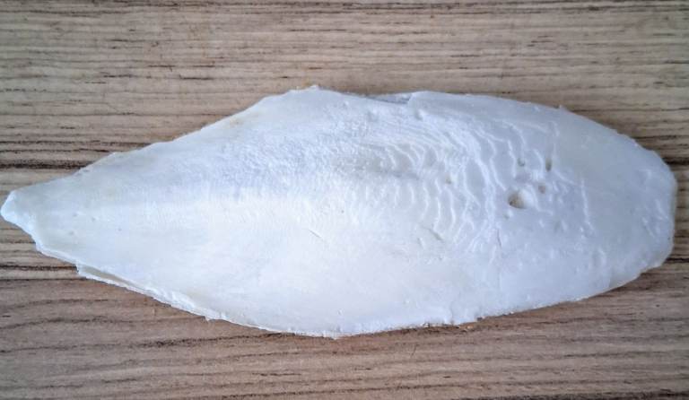 Cuttle fish bone
