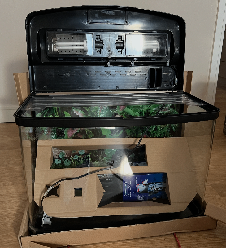 Panorama fish tank