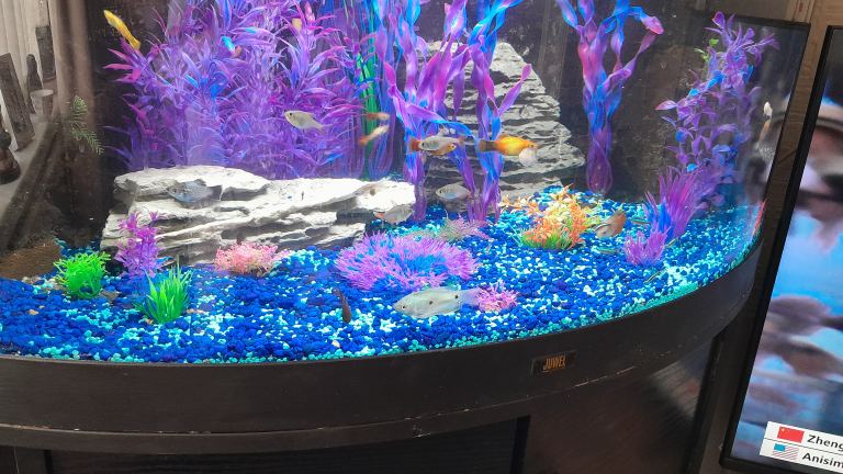 Juwel corner fish tank + cabinet