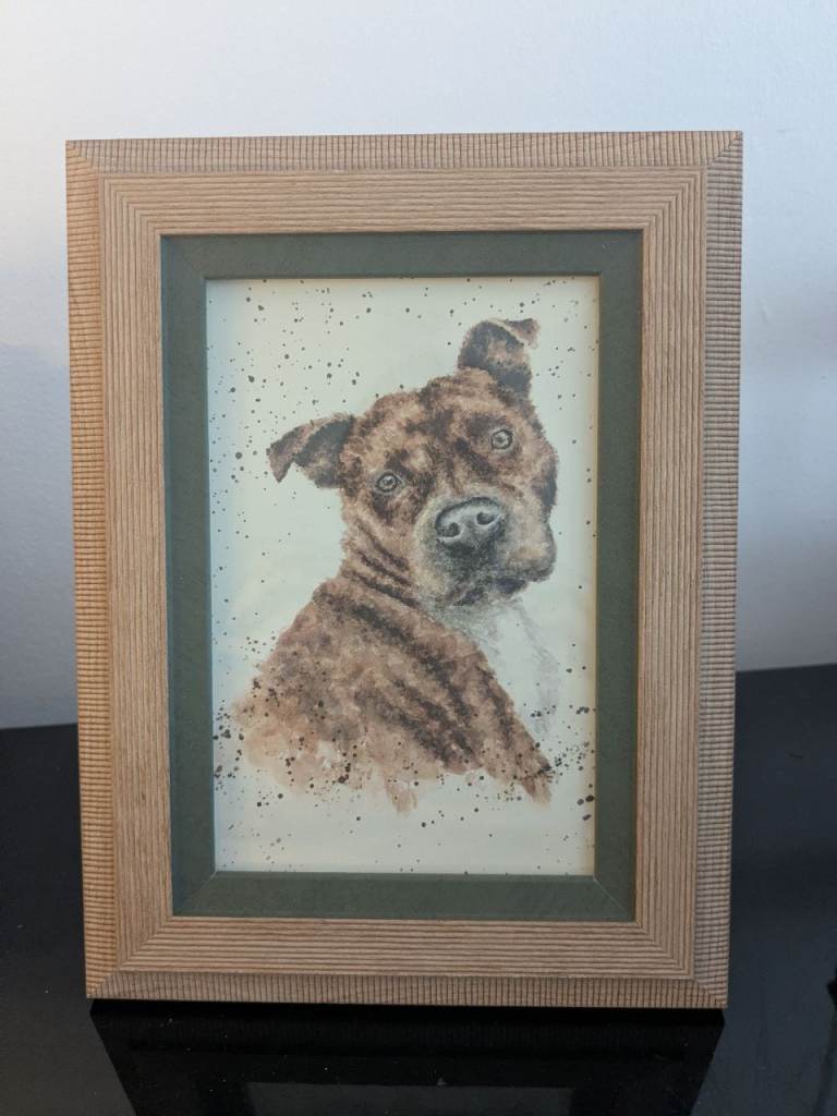 Framed Brindle Staffordshire bull terrier Print 6x4/ Picture wrendale Condition Brand new 