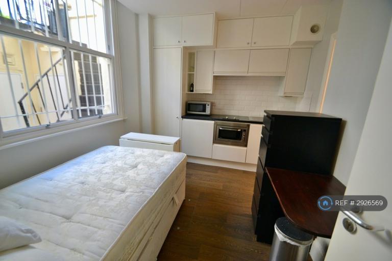Studio flat in Gloucester St, London, SW1V (#2926569)