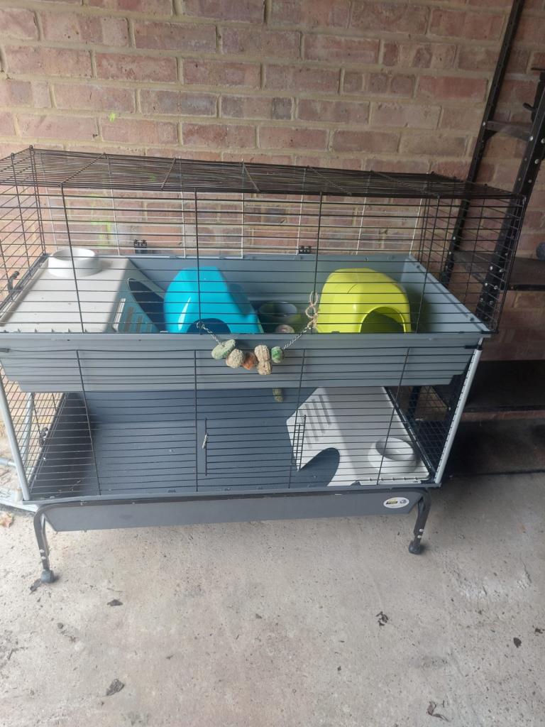 Guinea pig cage pet rabbit pets 