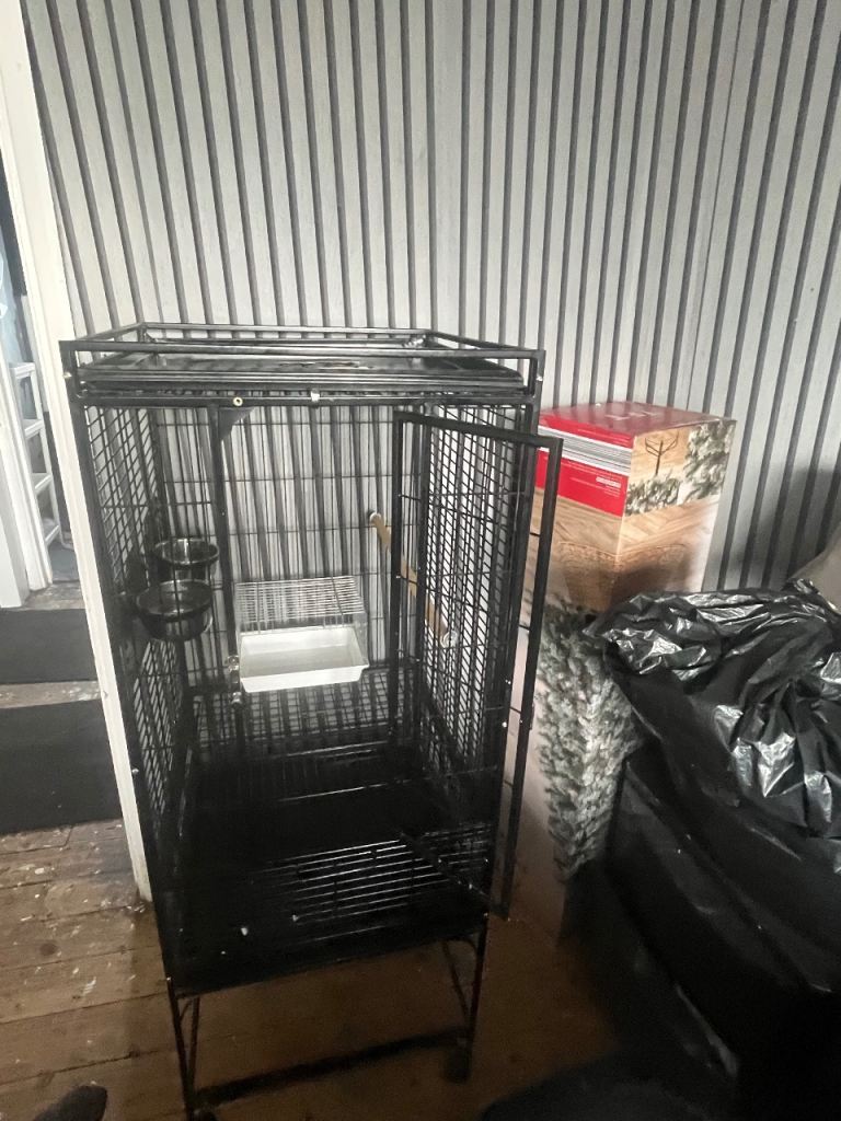 Bird cage 