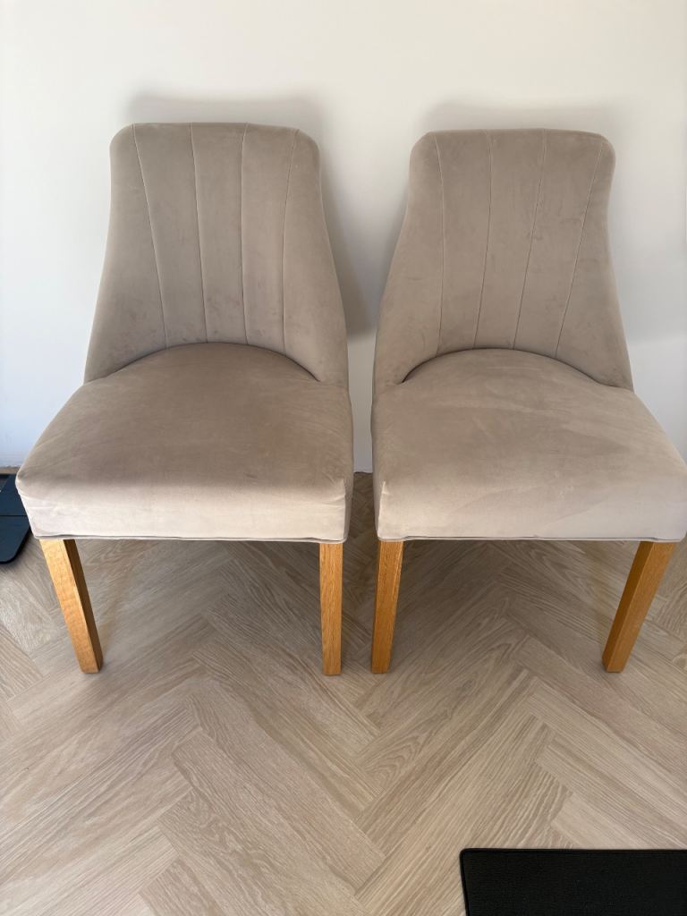 Dining Table Chairs - Marlene Chairs in Mink Velvet x 2