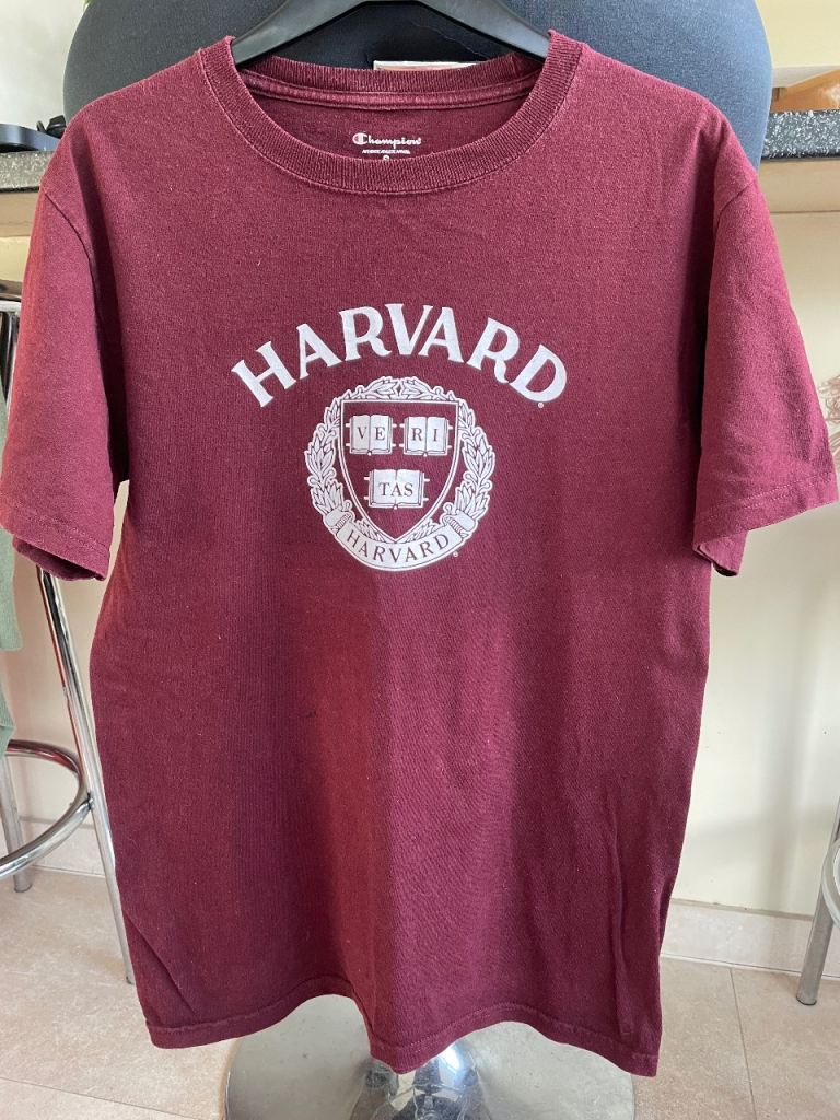 Burgundy Harvard logo T shirt - Size S