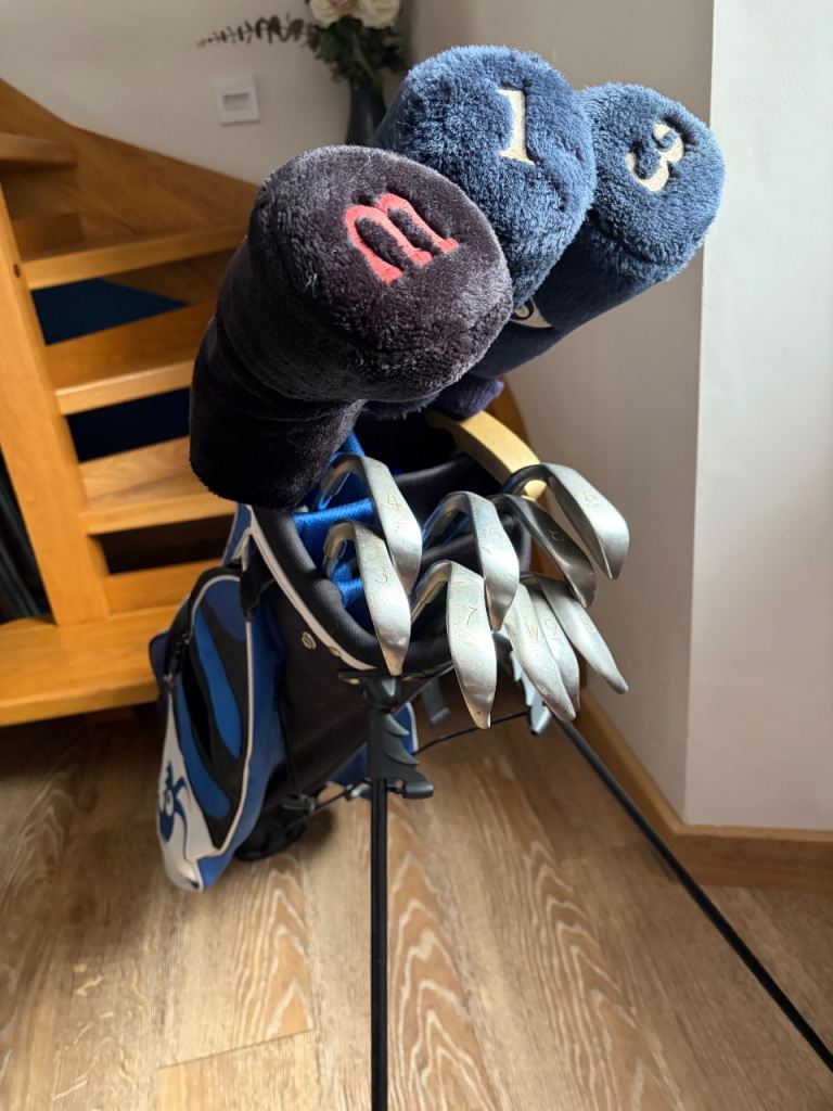 Set of 13 golf clubs with bag. 