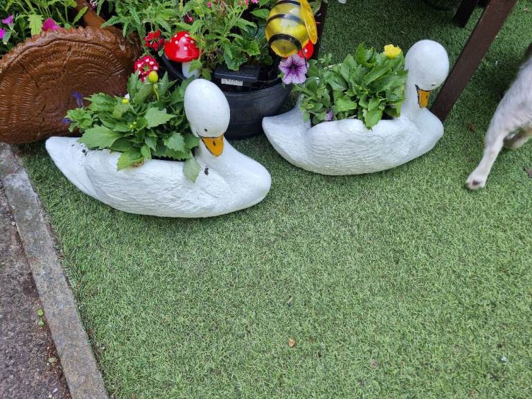 2 garden concrete swans with flowers 