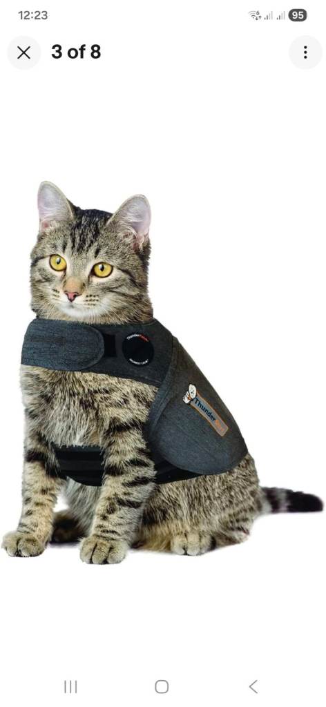 Cat's Anxiety Jacket