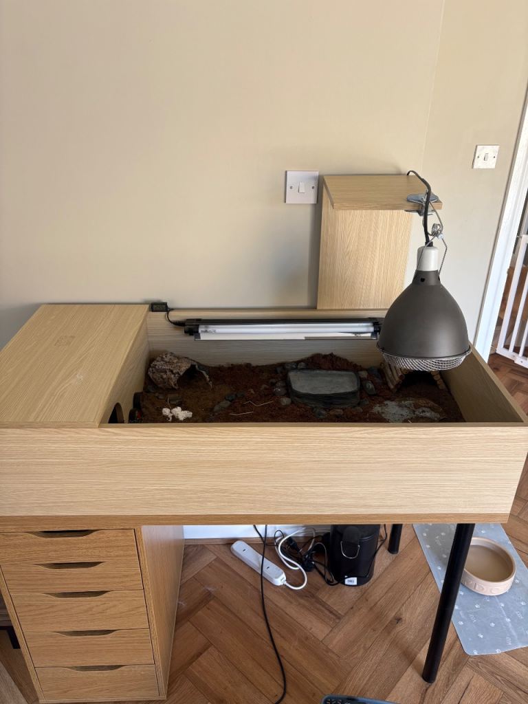 Full tortoise table setup
