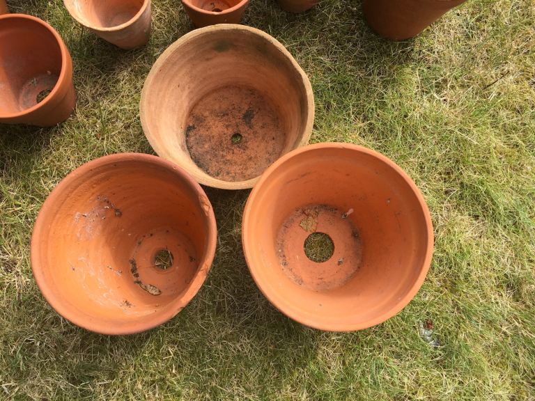 Selection of small and medium vintage terracotta pots