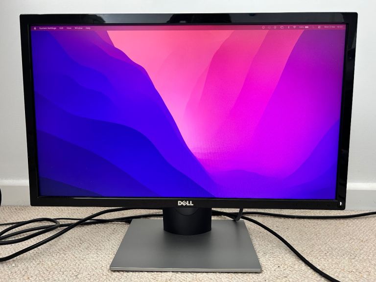 Dell monitor 24 inches