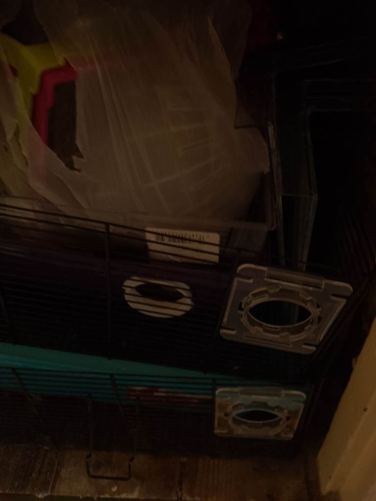 Hamster cages  