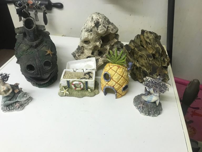 Job lot off fish tank orderments 