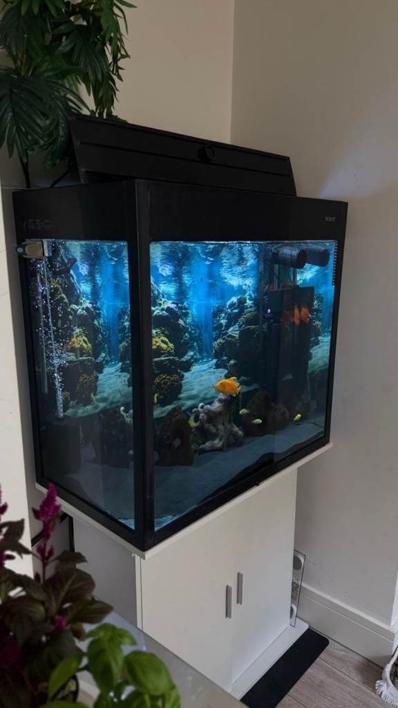 Fish tank with  stand 