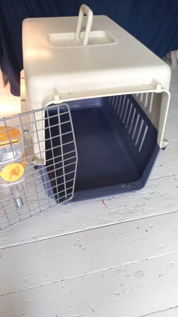 Free Cat/Small Dog Crate