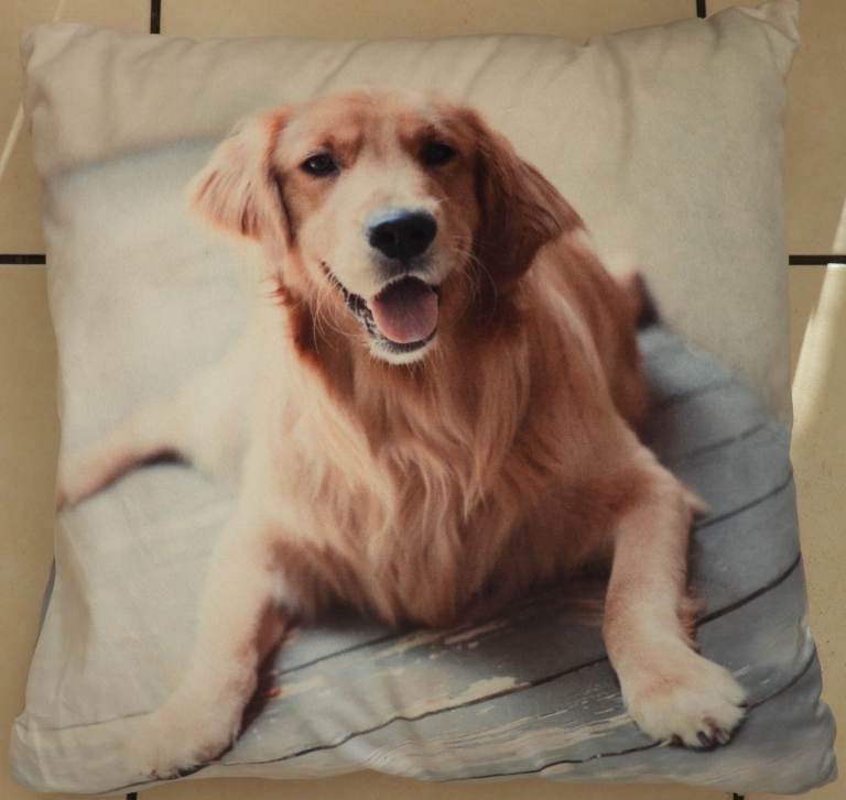 *2 DOG CUSHIONS* GOLDEN RETRIEVER & CHRISTMAS LABRADOR PUPPY