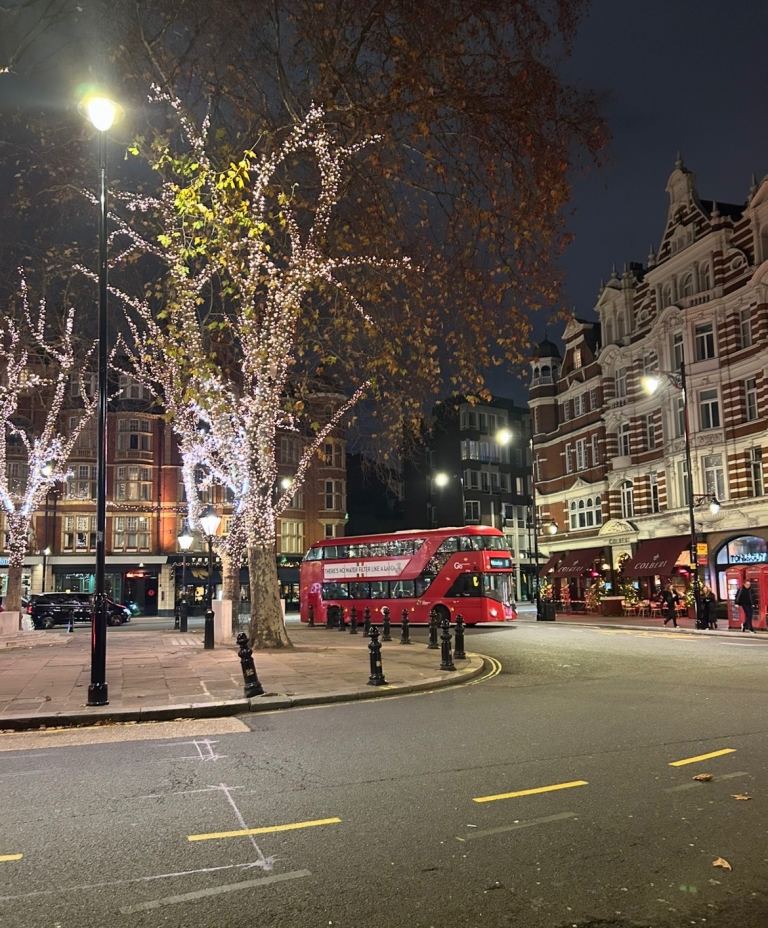 1 bed Ground floor garden property, Belgravia/ Sloane Square 