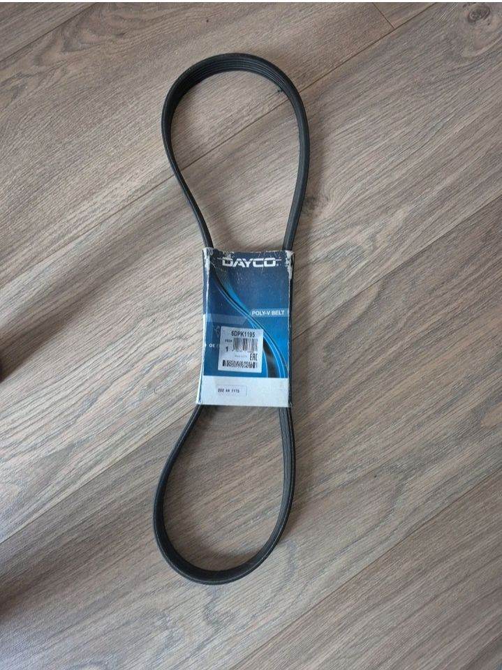 Dayco Drive Belt 6DPK1195 + FAST UK 🇬🇧 DELIVERY!