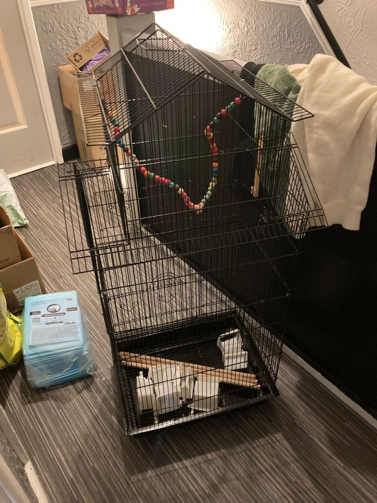 Bird cage for sale