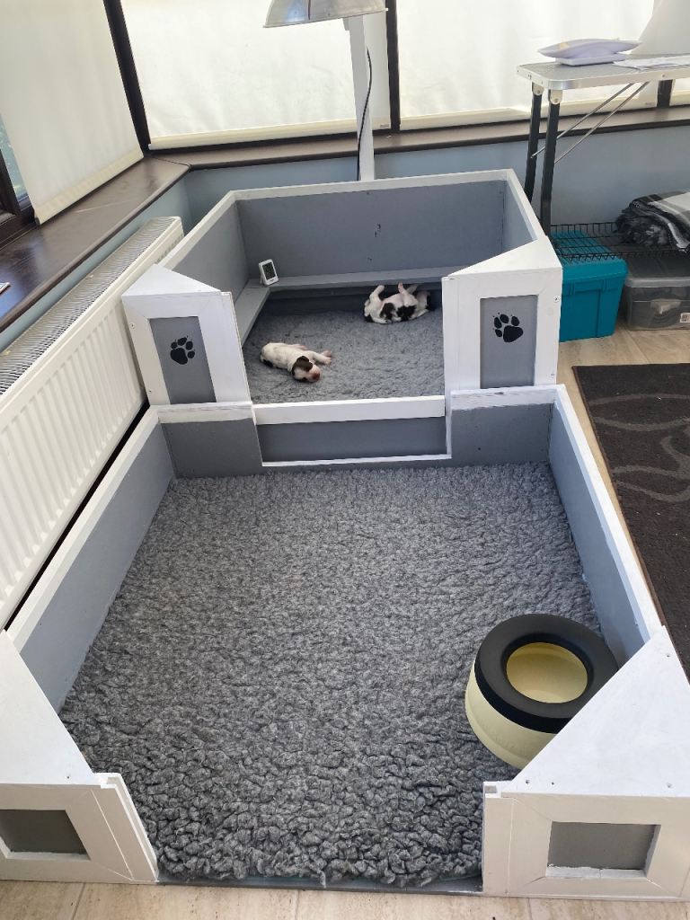 Dog whelping box for sale. Excellent condition