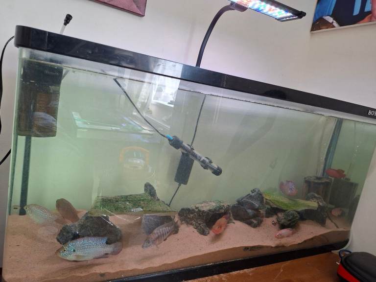 Large Glass Fish Tank with Filter, Heater, Light, Rocks, and Sand