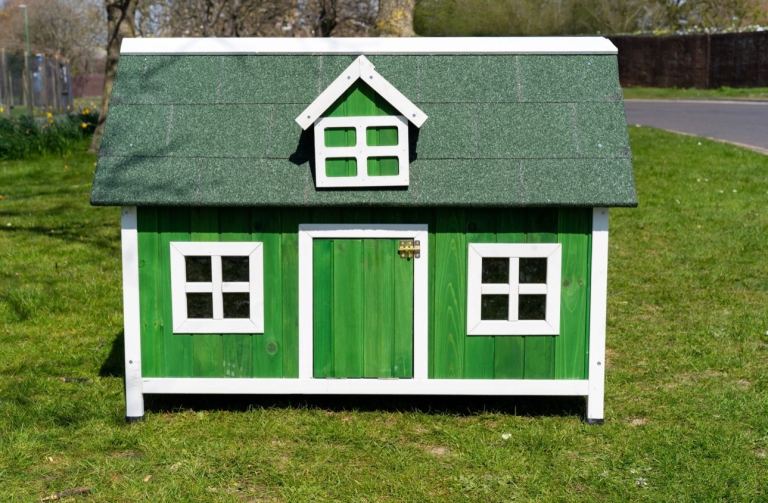 Chicken Coop