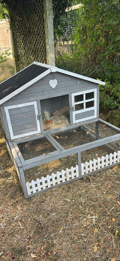 Guinea pig hutch/run