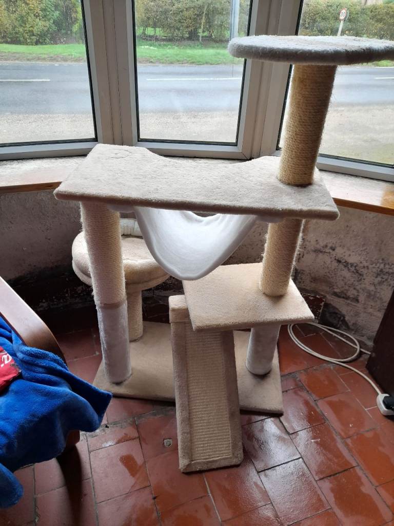 Cream cat scratch play and bed