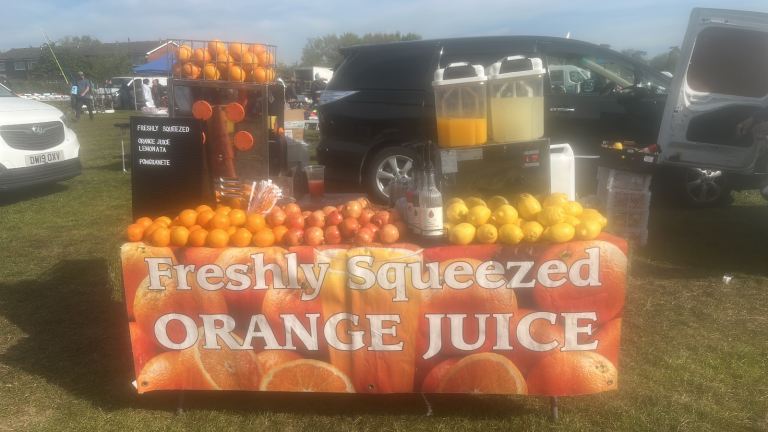 Free orange peel composting pet food garden waste
