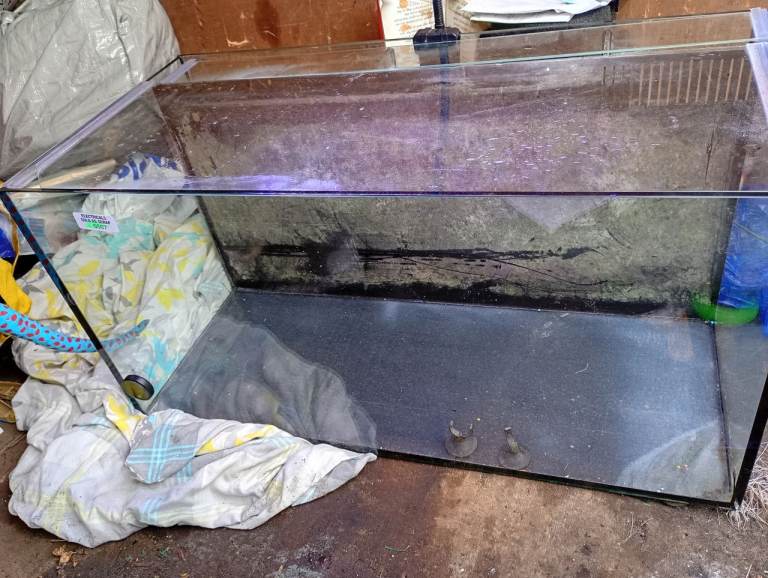 Tropical fish tank with accessories