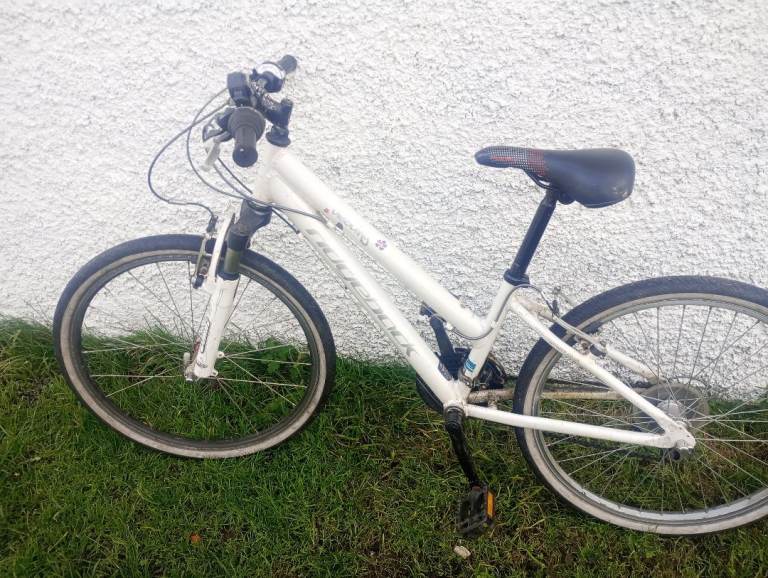 24 inch wheel Ridgeback girls bike