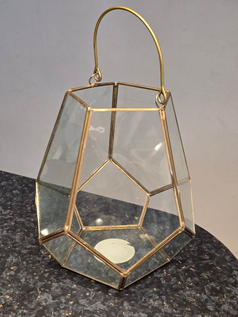 Plant Terrarium