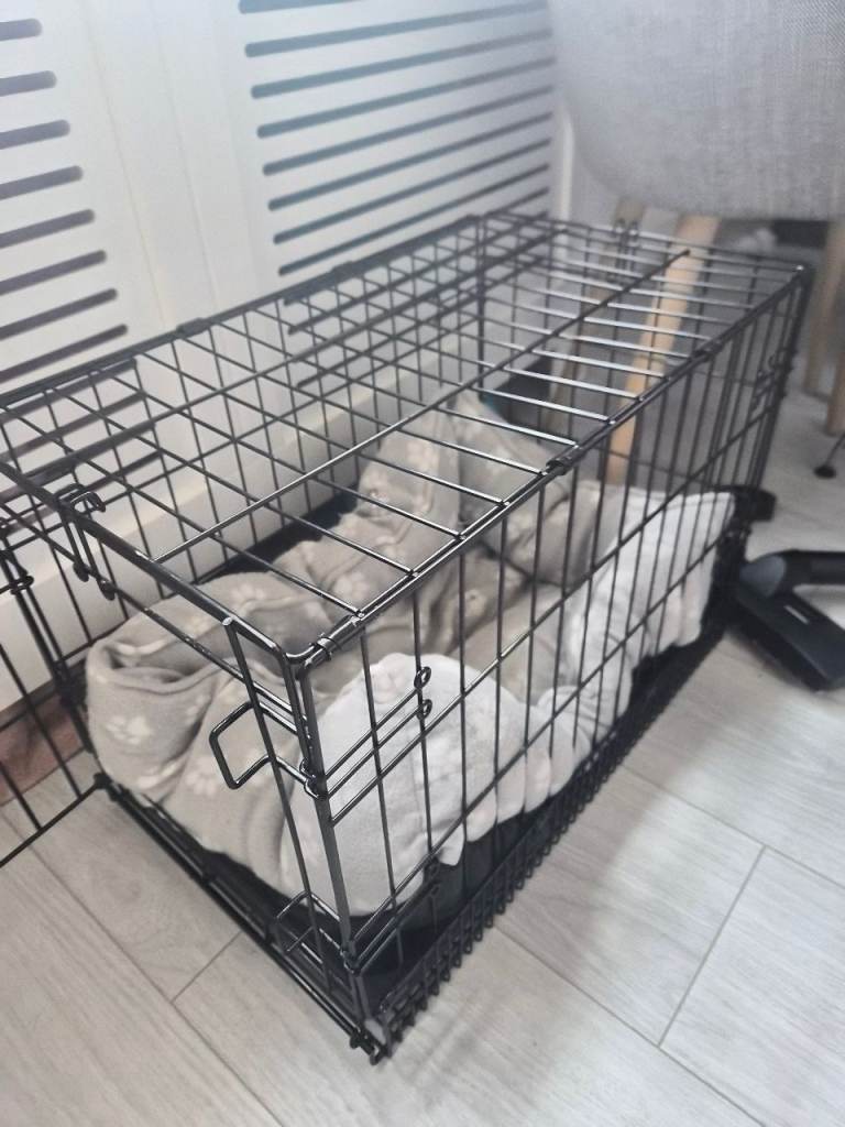 Small dog cage 