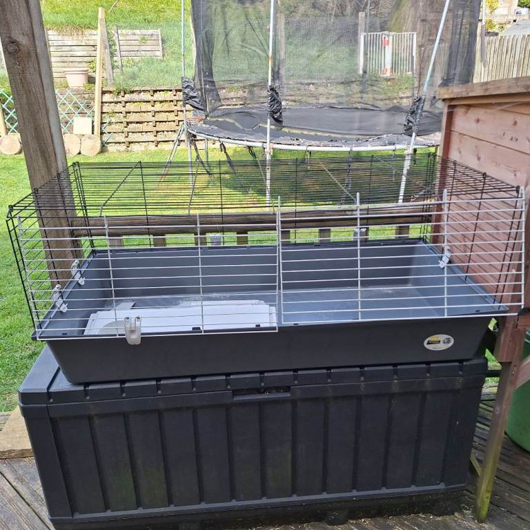 Indoor Guinea Pig Cage