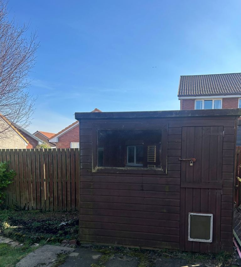 Garden Shed - FREE 