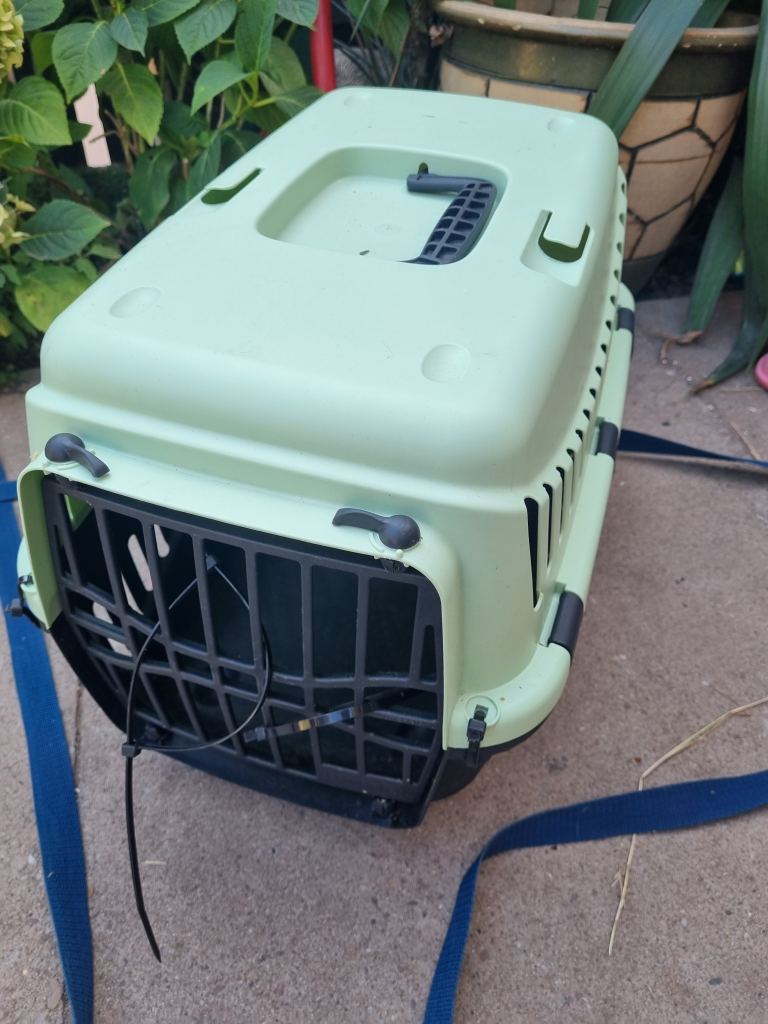 Cat carrier 