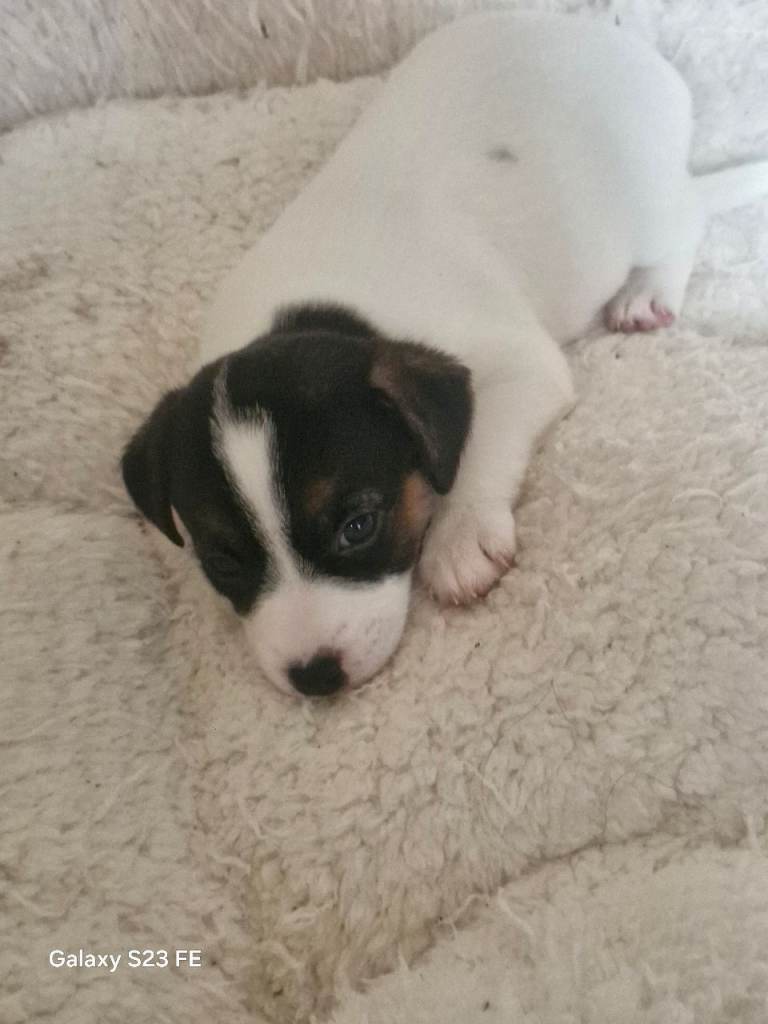 For sale