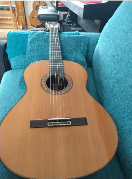 Alhambra 10P Concert Classical Guitar