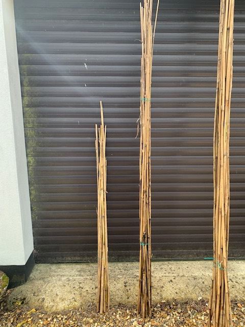 Bamboo Canes