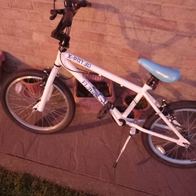 BMX XRATED 20INCH WHEELS