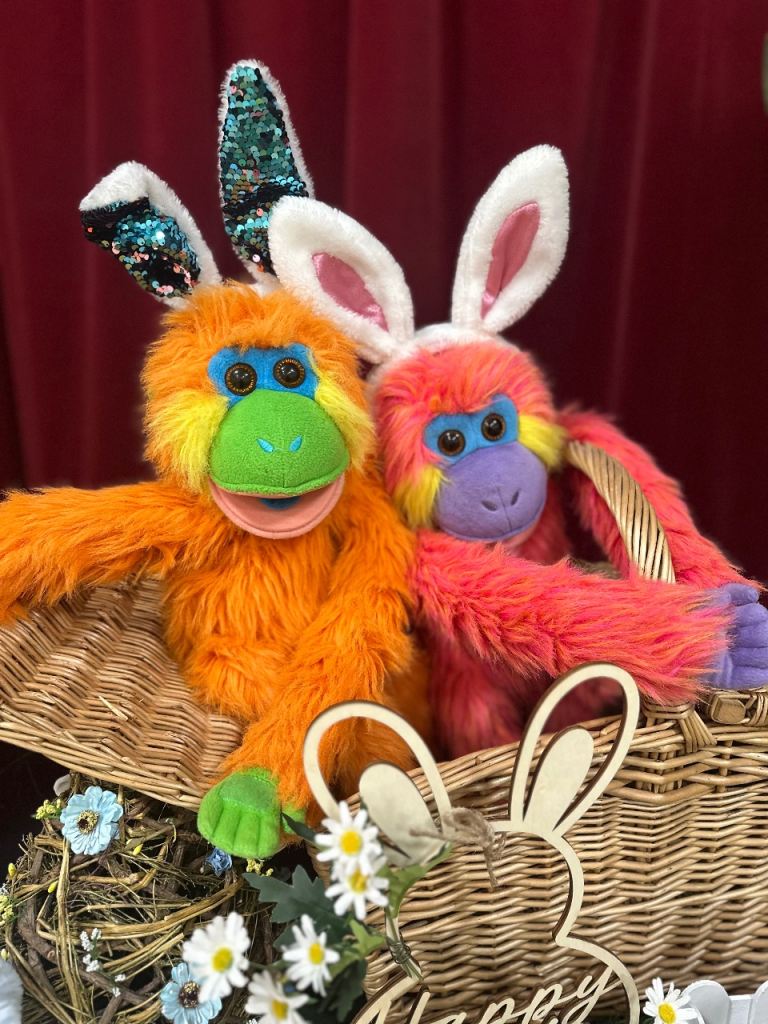 Children’s Musical Playgroup - For SALE