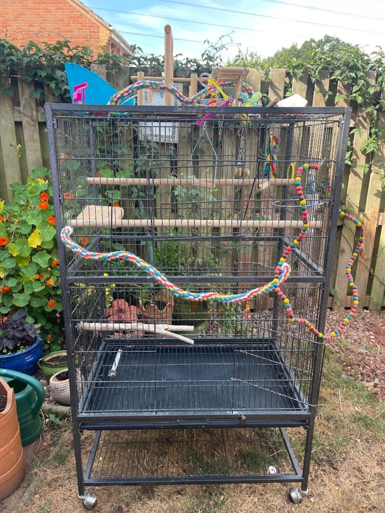 Bird cage 