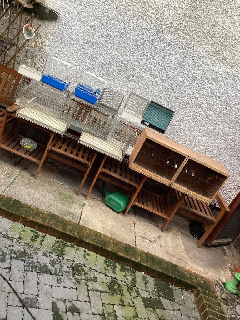 Bird cages and accessories