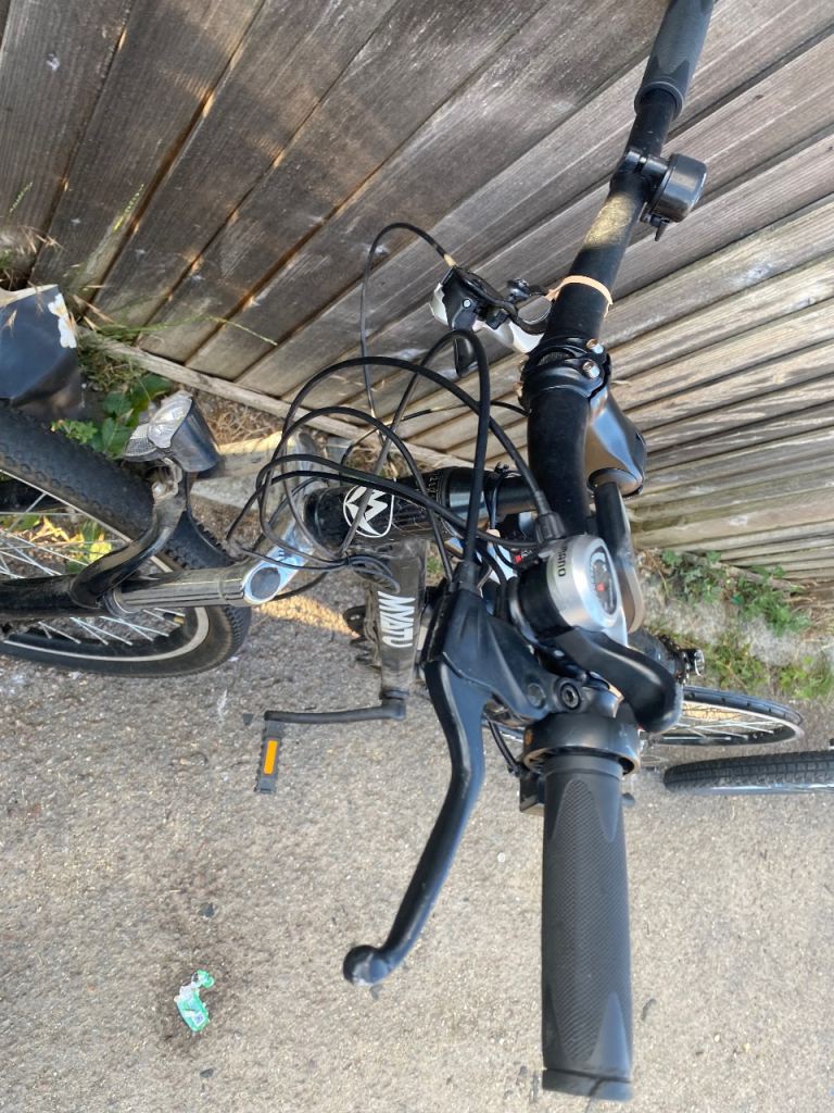 Electric bike and standard carrera 