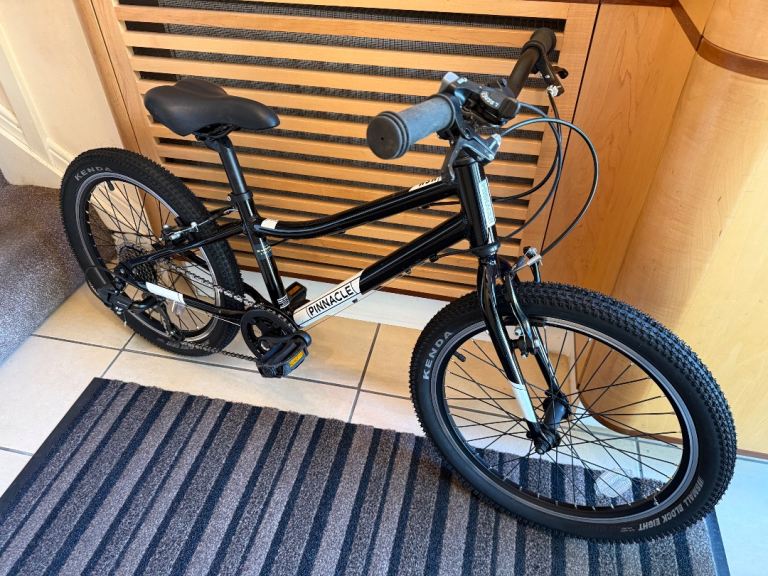Kids 20 inch bike 