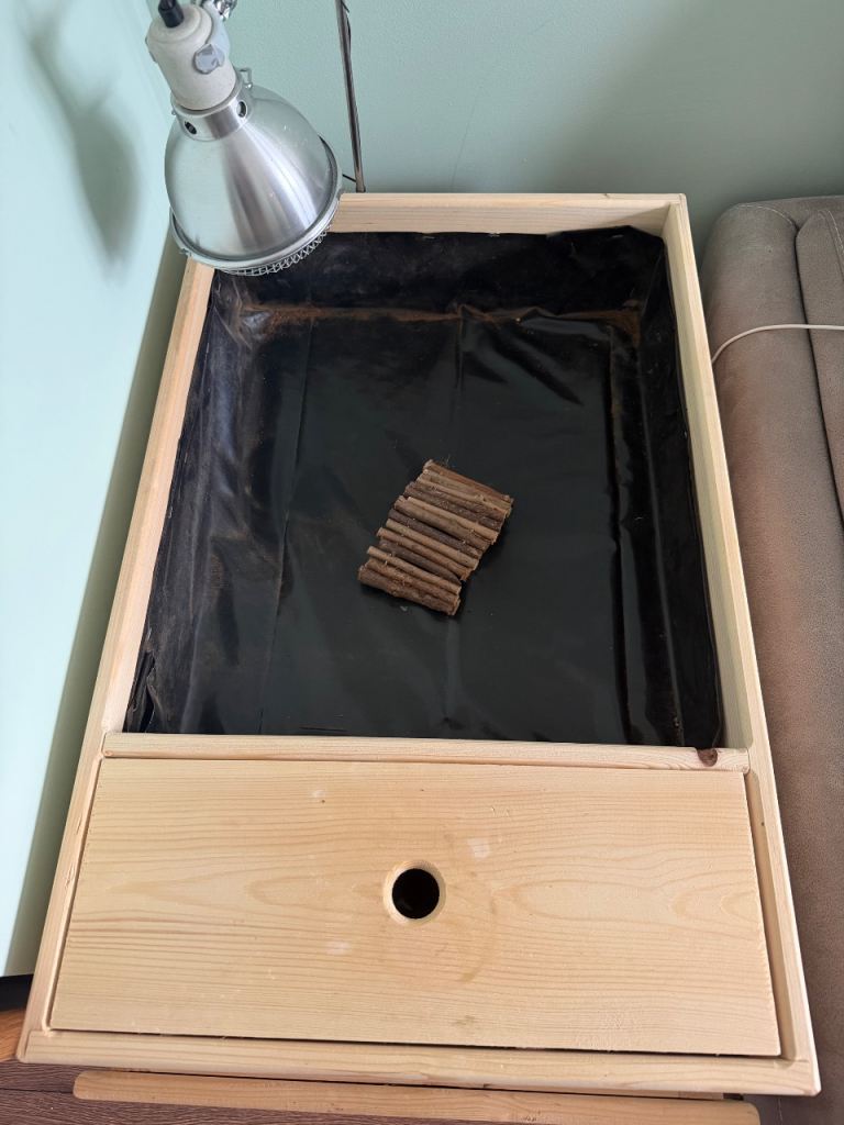 Tortoise Table 